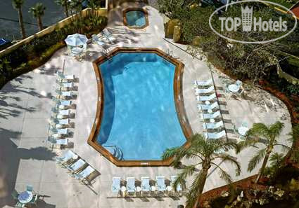 New photos from tourists DoubleTree by Hilton Hotel Miami Airport & Convention Center 3*