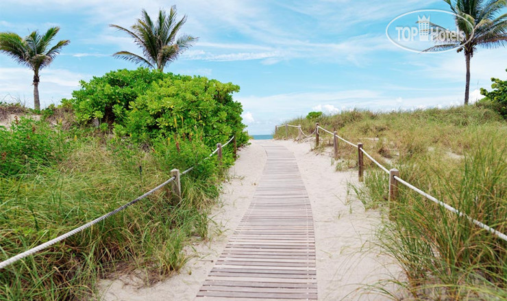 New photos from tourists The Perry South Beach 4*
