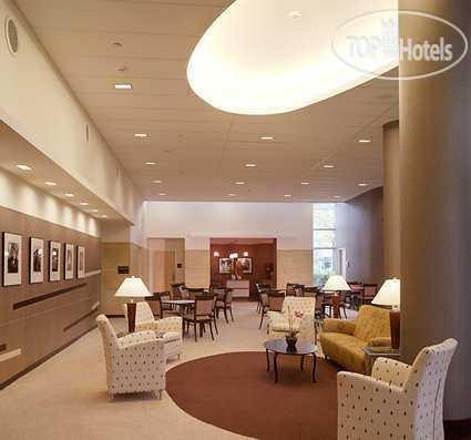 Новые добавленные фото туристов Hampton Inn & Suites Boston Crosstown Center 3*