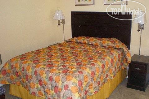 New photos from tourists Alexander Inn 1*