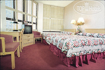 Hotelier's photos Grant Plaza 3*