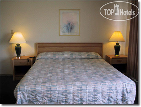 New photos from tourists Beach Motel 1*