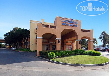 New photos from tourists Comfort Inn & Suites San Francisco Airport North 3*