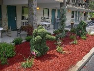 Новые добавленные фото туристов Cherokee Lodge 3*