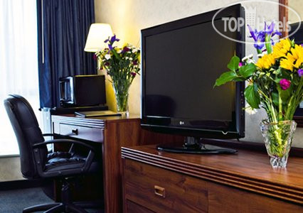 New photos from tourists Comfort Inn Bellingham 2*