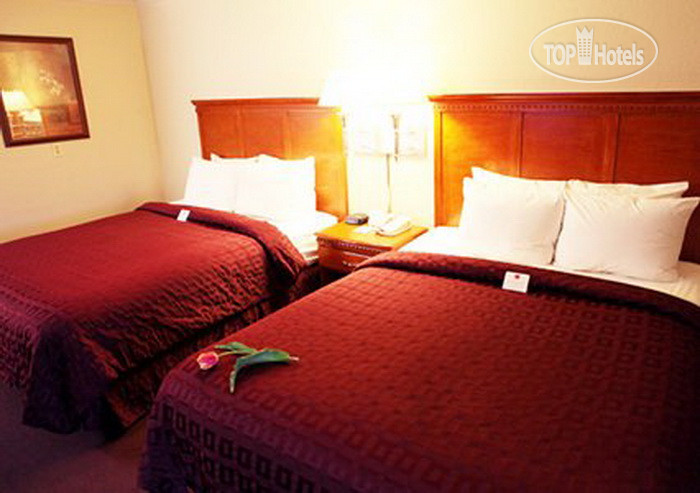 New photos from tourists Clarion Renton 2*