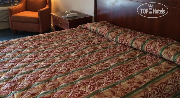 New photos from tourists Taylor Motel 3*