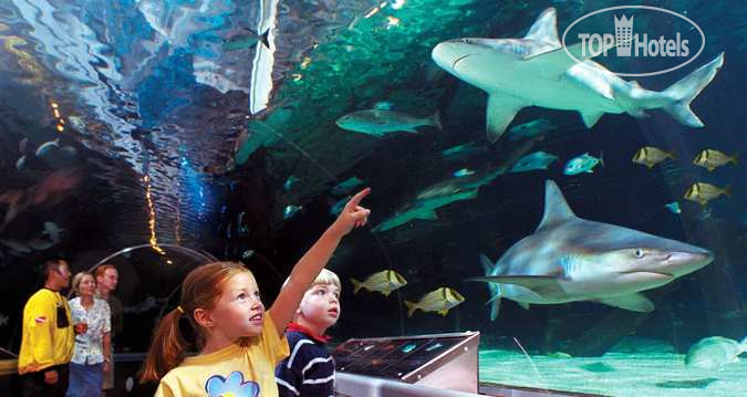 Новые добавленные фото туристов Hilton Minneapolis St. Paul Airport Mall of America 4*