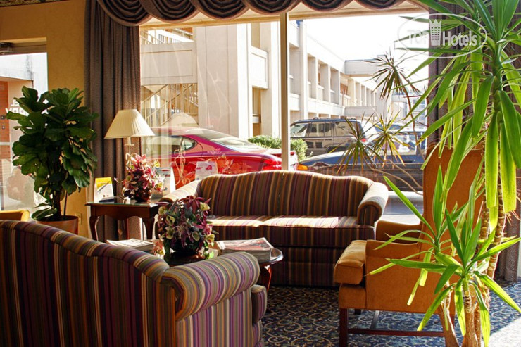 New photos from tourists Best Western Thunderbird Motel 2*