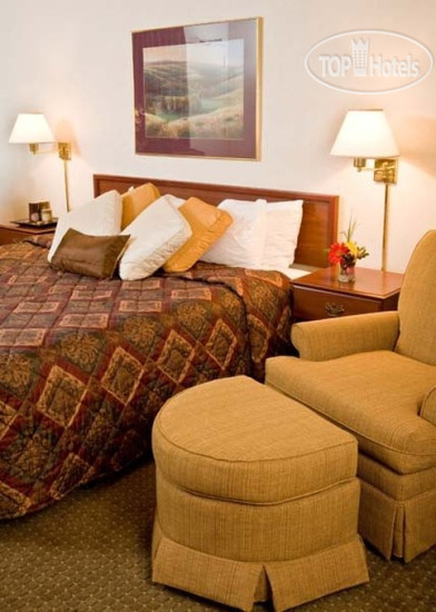 Новые добавленные фото туристов Best Western Kelly Inn 2*