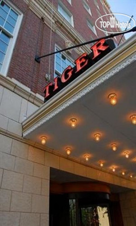 Hotelier's photos The Tiger Hotel 3*