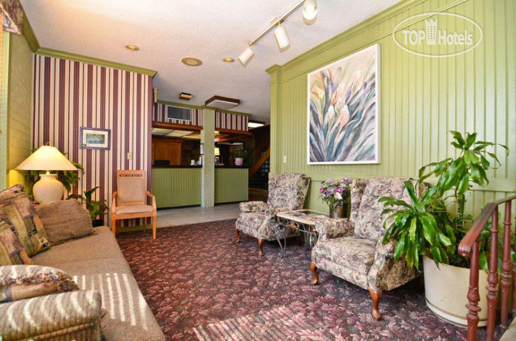 New photos from tourists Raintree Inn 3*