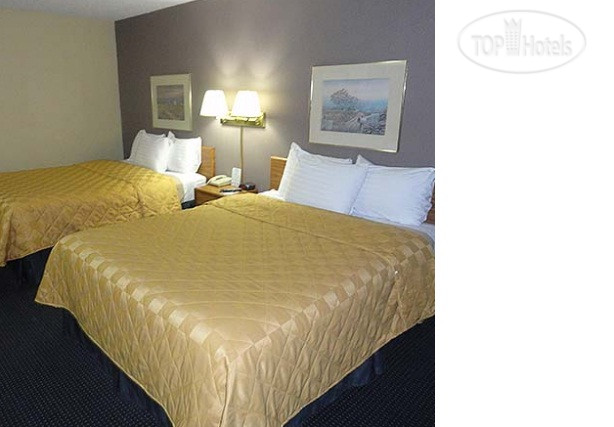 New photos from tourists Columbus Inn 2*