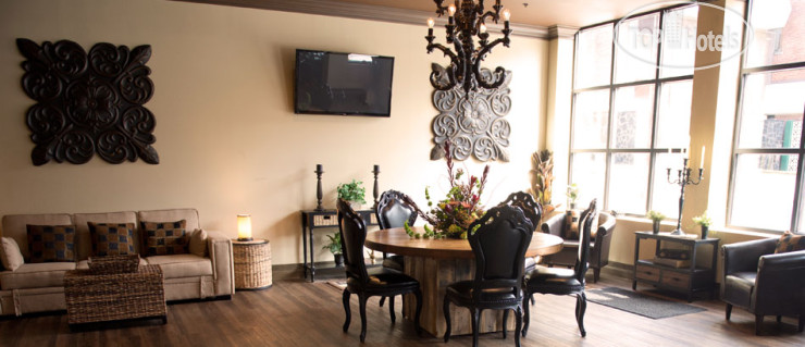 New photos from tourists Chestnut Hotel 3*