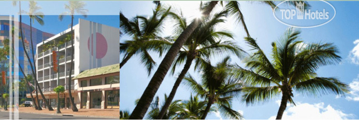 New photos from tourists Polynesian Plaza 2*