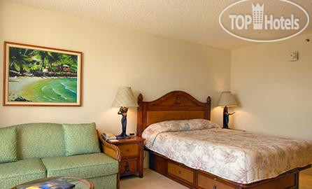 New photos from tourists Luana Waikiki 4*