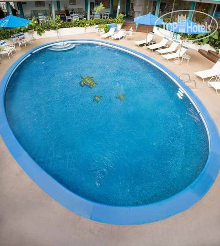 New photos from tourists Castle Hokele Suites Waikiki 2*