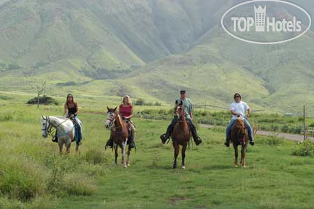 New photos from tourists Makena Beach & Golf Resort 4*