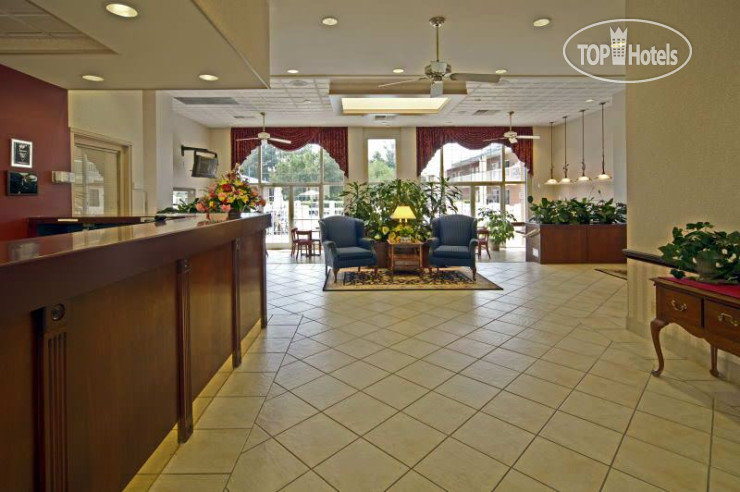 New photos from tourists Nuevo Inn & Suites 3*