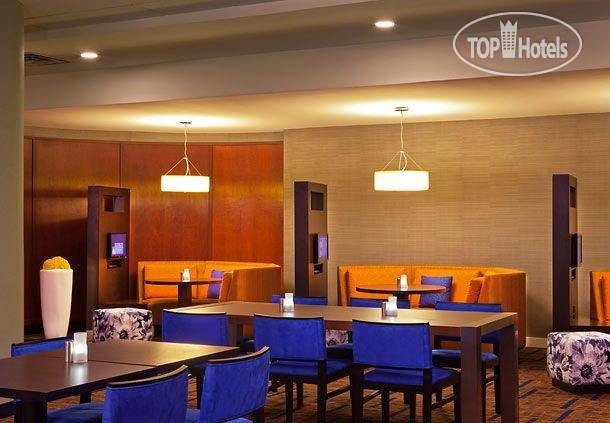 Новые добавленные фото туристов Courtyard Alexandria Pentagon South 3*