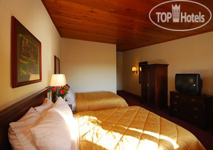 Новые добавленные фото туристов Comfort Inn Winchester 2*