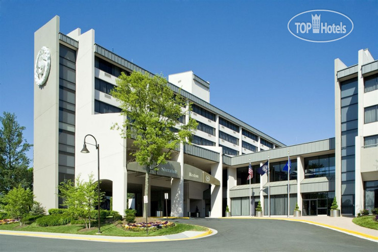 Hotelier's photos Sheraton Reston 3*