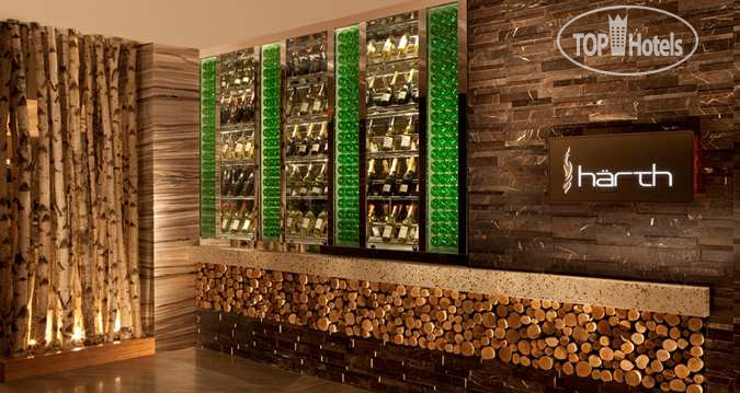 New photos from tourists Hilton McLean Tysons Corner 3*