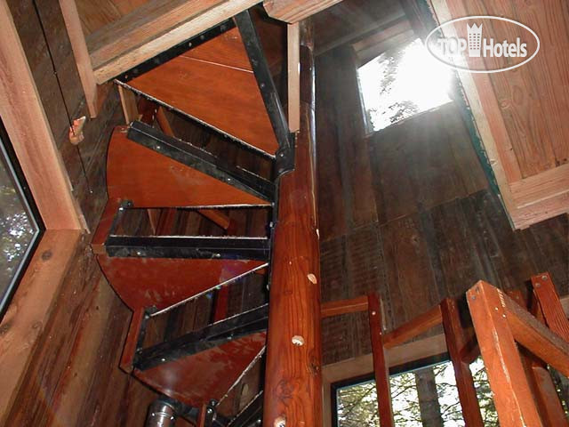 New photos from tourists Lothlorien Woods Hide-A-Way 4*
