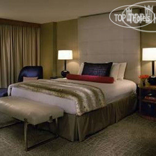 Photos Palomar Washington DC