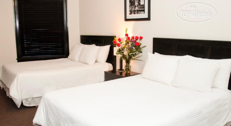 New photos from tourists Royal Park Hotel 2*