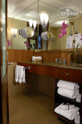 New photos from tourists Giraffe 4*