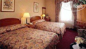 New photos from tourists The Lucerne 4*