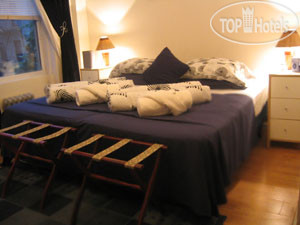 New photos from tourists Bubba and Bean Lodges APT