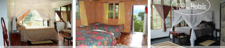 New photos from tourists Forres Park Resort