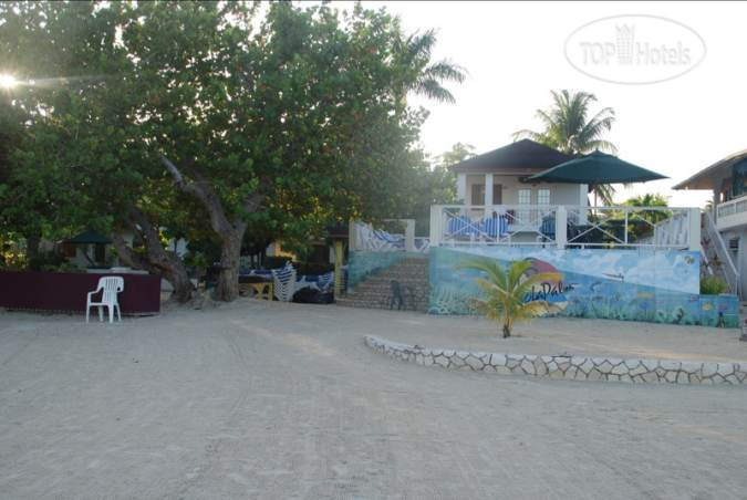 New photos from tourists Coco La Palm 3*