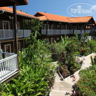 Photos Mangos Jamaica