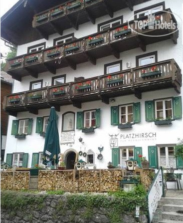 Hotelier's photos Platzhirsch zum Heurigenwirt 3*