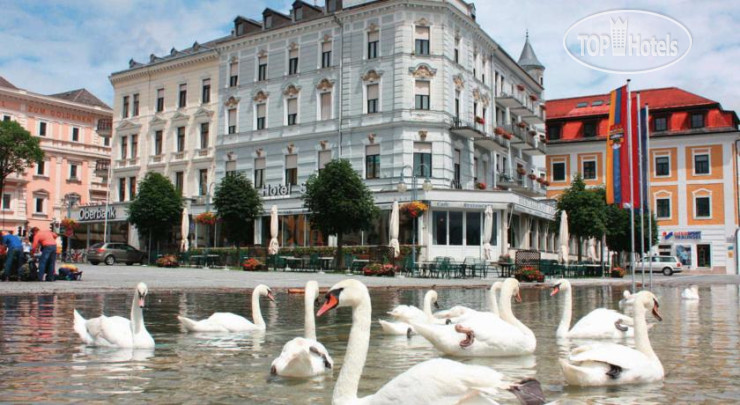 New photos from tourists Seehotel Schwan 4*