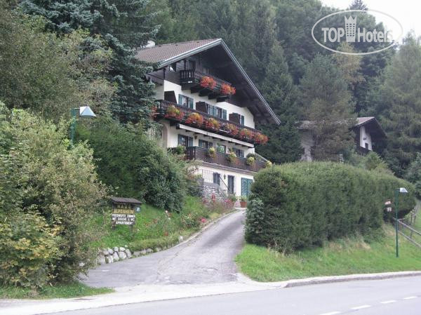 Photos Alpenheim