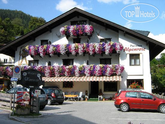 Фото Alpenrose