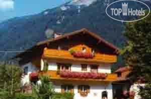 Фото Schlechter