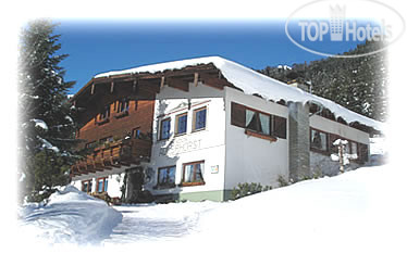Фото Pension Adlerhorst