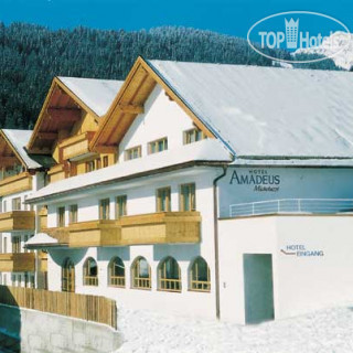 Photos Amadeus-Micheluzzi