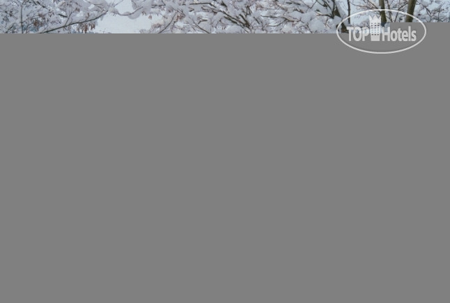 Photos Braunegger Gastehaus (Stumm)