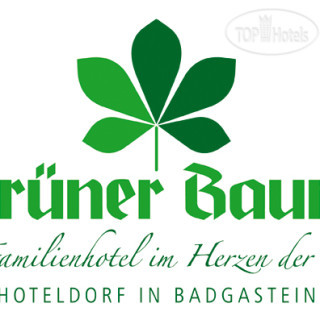 Photos Gruner Baum