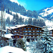 Новые добавленные фото туристов Glemmtalerhof 4*