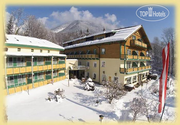 Hotelier's photos Forsterhof 4*