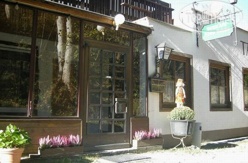 Hotelier's photos Pension Frohsinn 2*