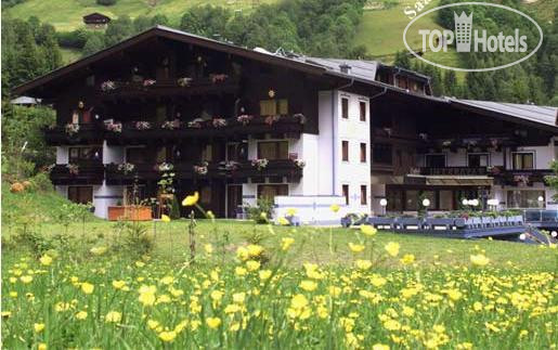 Hotel photo Interstar 4*