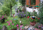 New photos from tourists Taxach APT
